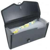 WORLDONE EXPANDING FILE 13 POCKETS
